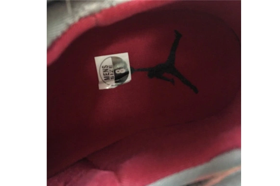 7 BV6281-006 AIR JORDAN BV6281-006 CARDINAL” “REFLECTIVE 0813